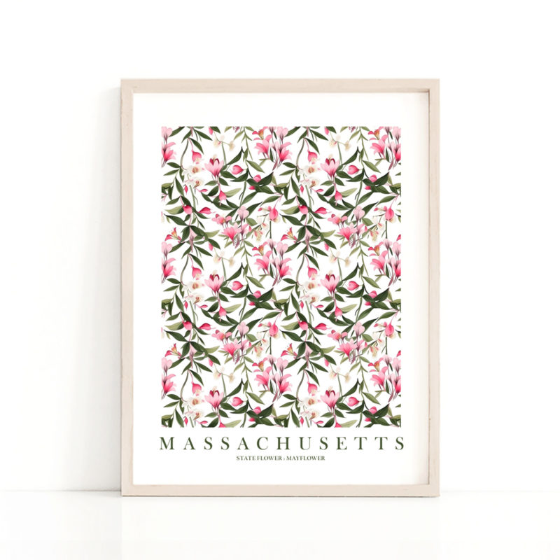 Mass state flower mayflower art print